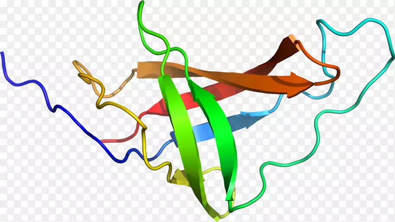 �ߵ������������-������