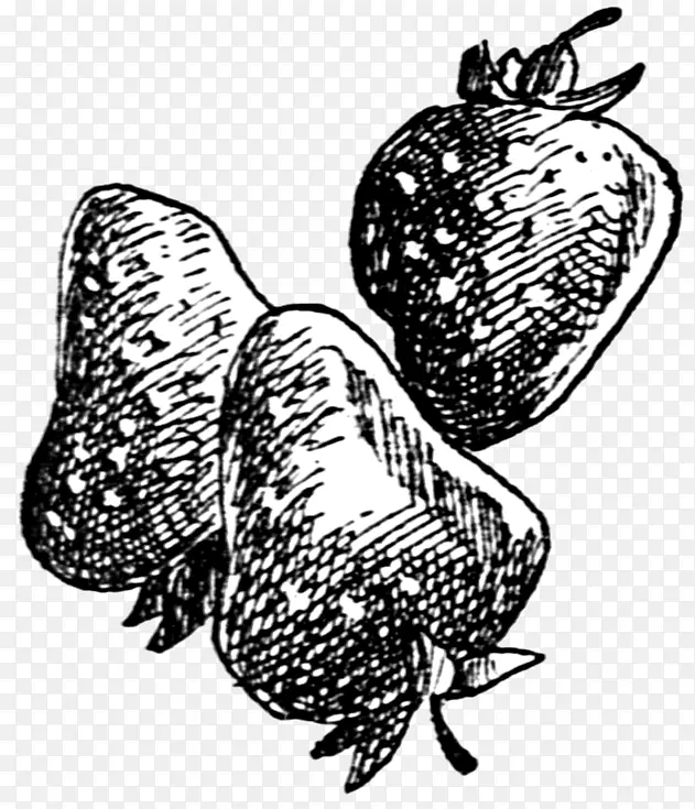 �����洫�����Ӿ�����-��-������