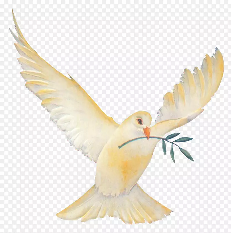 ��ද����ë-������