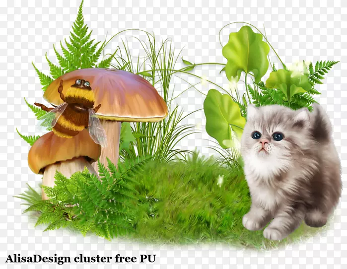 ����Сè����Ұ������Сè-������