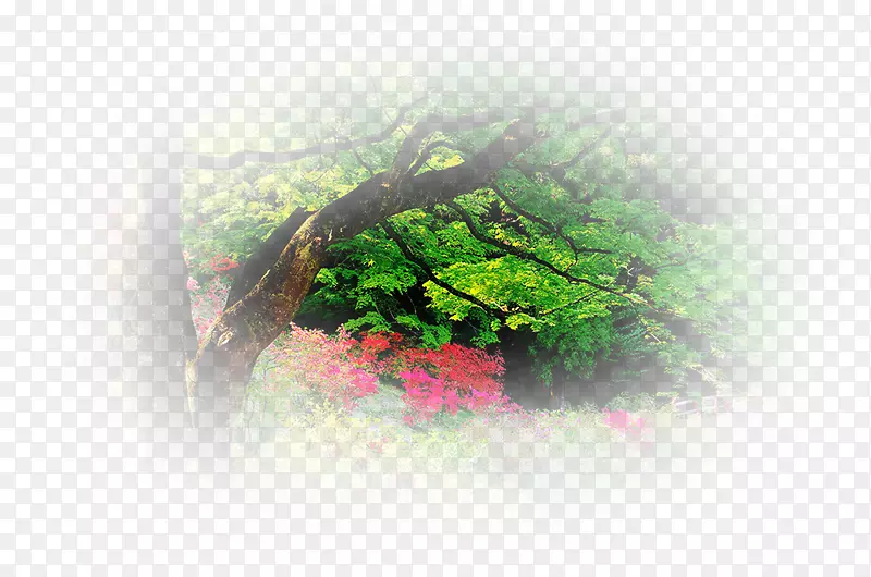 �����ֽ�����Ա�ֽ��-������