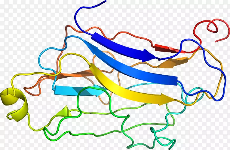 �ߵ������������-������