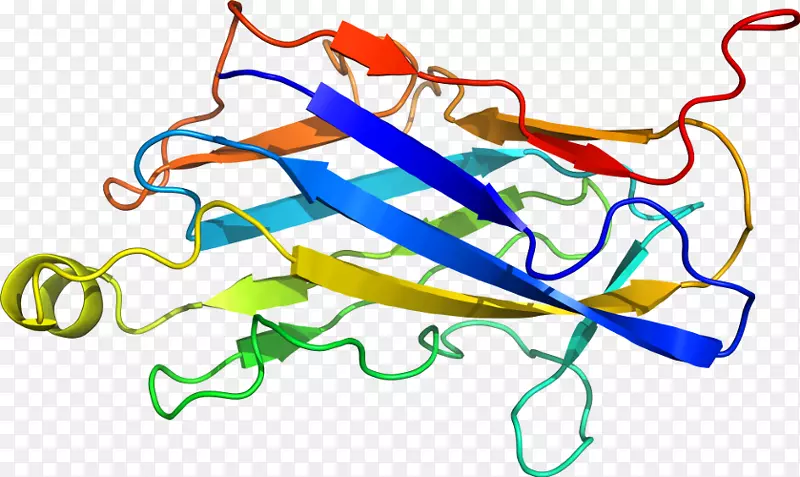 �ߵ������������-������