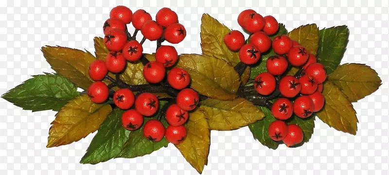 ��ݮɽ��ʳ����-������