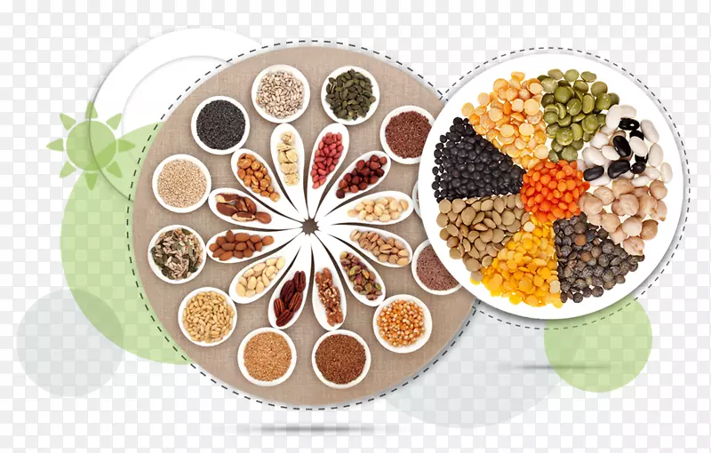 ������ʳӪ������-������