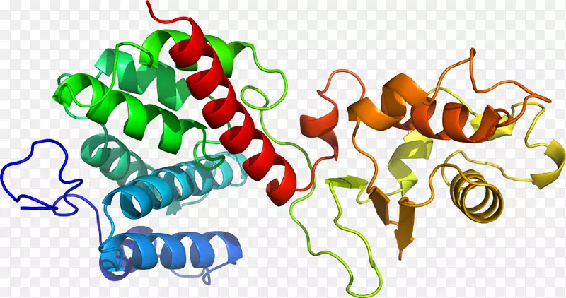 �߲������л��������-�߲�-������