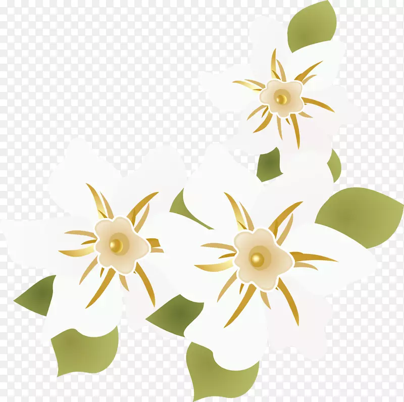 ������ƿ���ֲ�ﾥ���-������