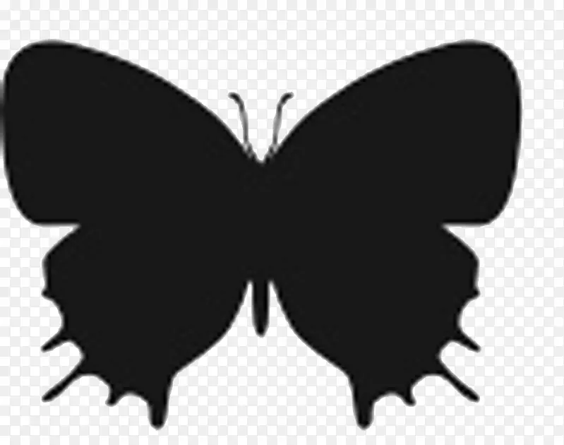 ������������ģ��-����-������