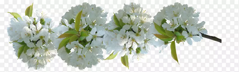 ����ͼ��-����������-������