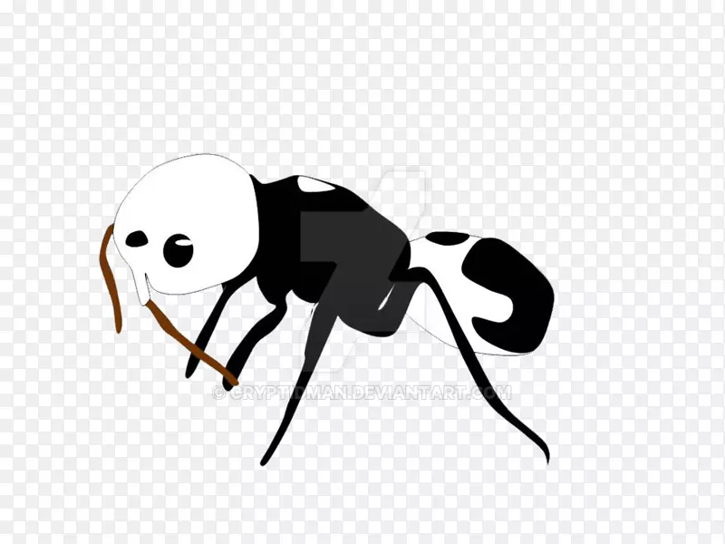 ���洫����๼���������-������