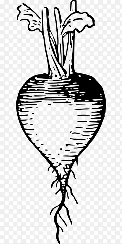 �����������ڰ׼�����-�߲˳�-������