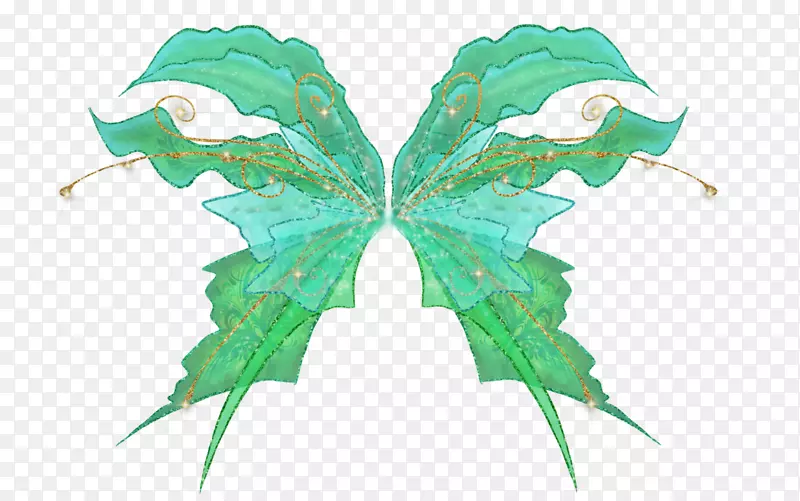 ��Ҷ�Գ���-������