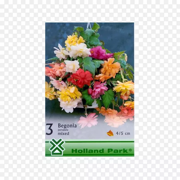 ��������л�����-������