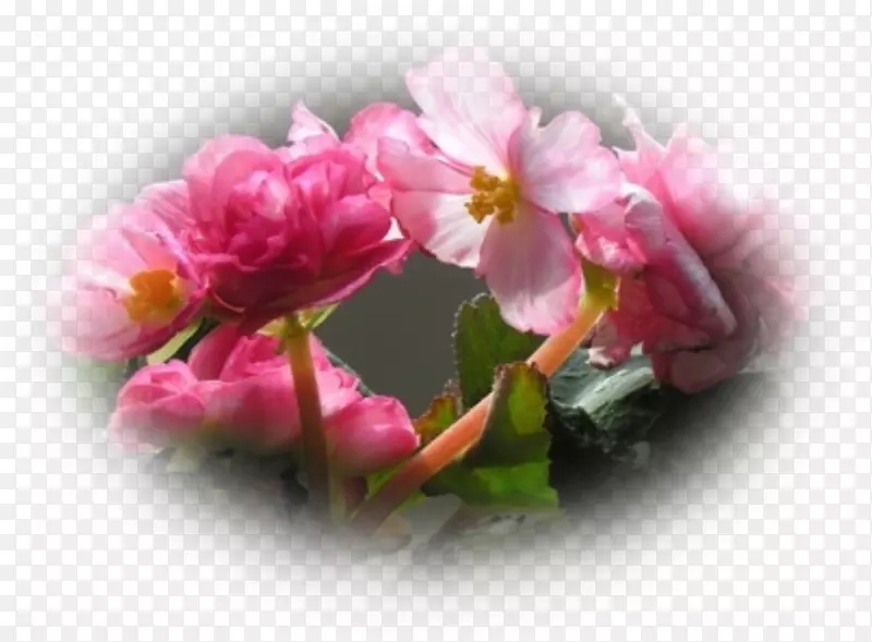 �龥�ﺣ�������ﺣ�Ļ�ֲ��-������