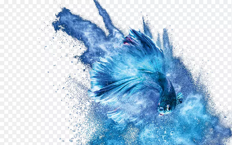 Yupo Europe GmbHֽ��Yupo��˾����ˮ�ʻ�-ˮ�ʻ���ͥ-������