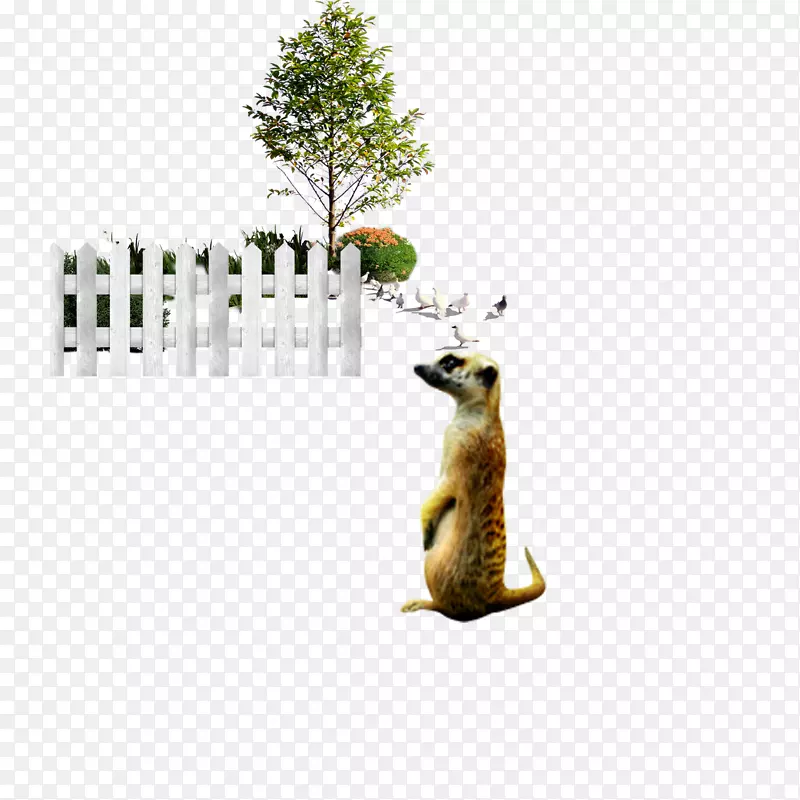 ������-�Ϸ�è��-������