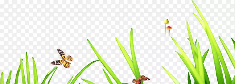 ��ɫ���ر�ֽ-��-������