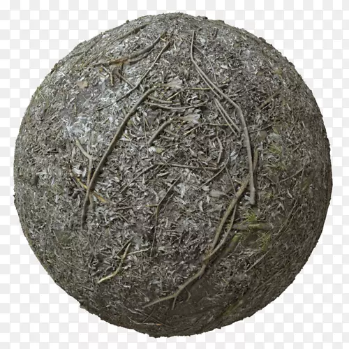 ���Ϲ���۸��ӡ�ڰ��ɲ���˹ɭ�ֵذ�-������