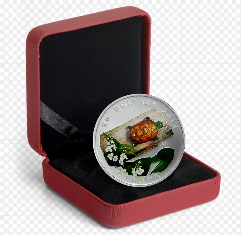 ���ô�ʼ�����-����-������