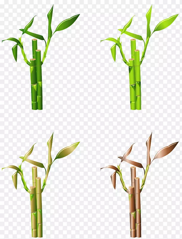 �ȴ�ľ������ˮ�ʻ������-������