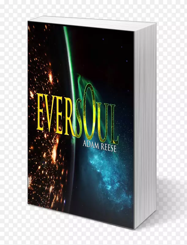 ����������̬ϵͳ-����������-������