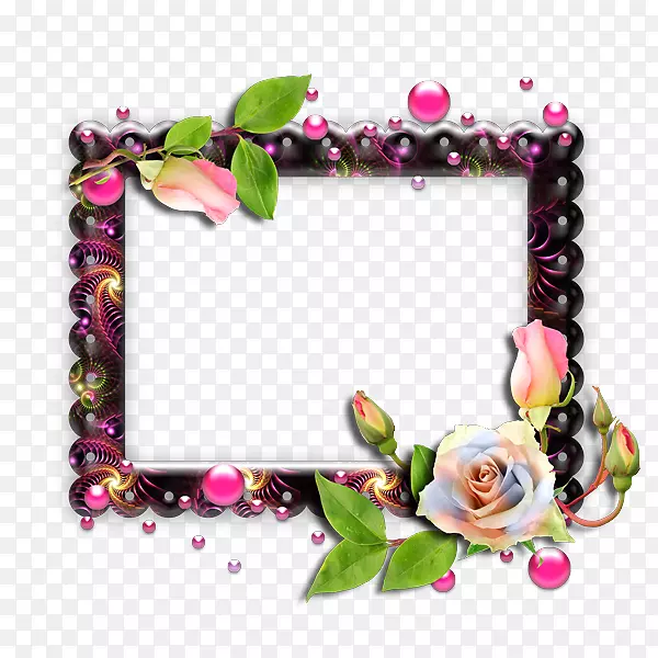 ������ɻ�ѩ��ʩ-������