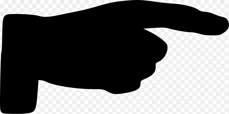 ʳָ������.ָ����ָ������-������