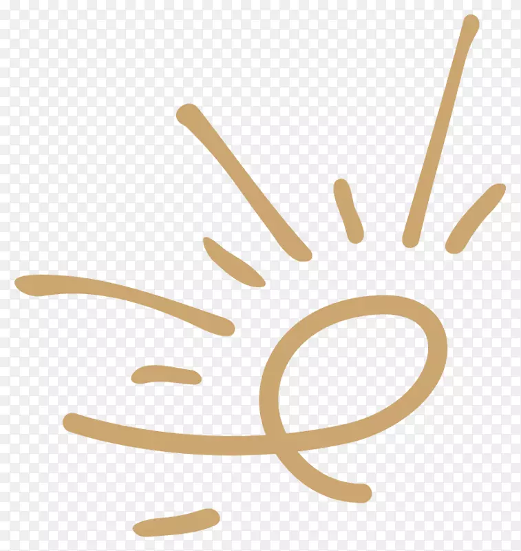 ��ָ�����������-������