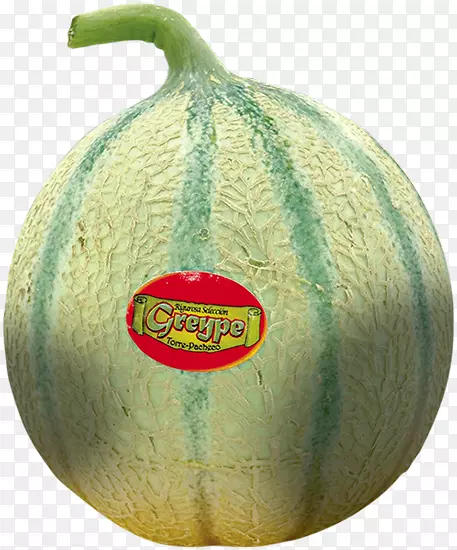 ��¶��ϣ���ϣ�����ϣ�ʥ�����ˣ����-������