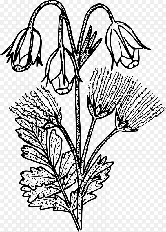 �߲�ԭ�����»��ȸ�ԭֲ��-������