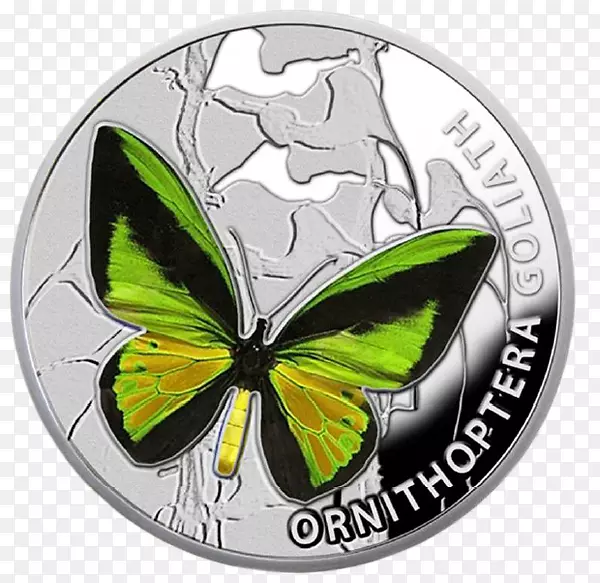 �����ͷɶ�����������-������