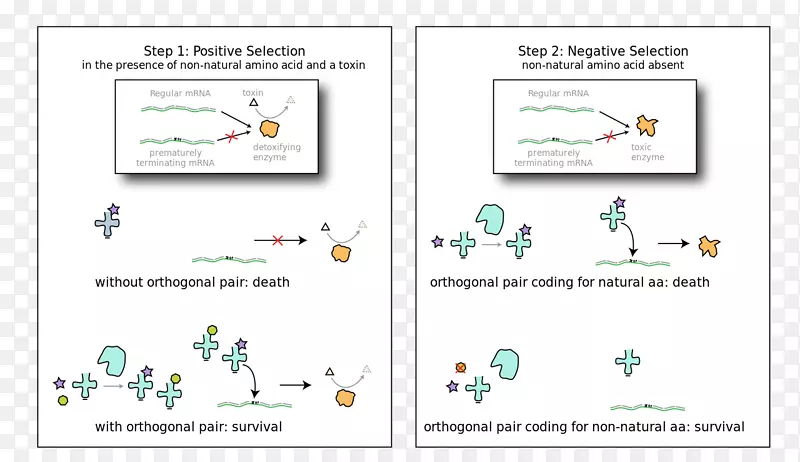 ���絰���ʶ����Ʒ��-������