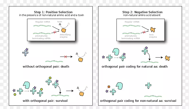 ���ߵ��������л���ר������-��-������
