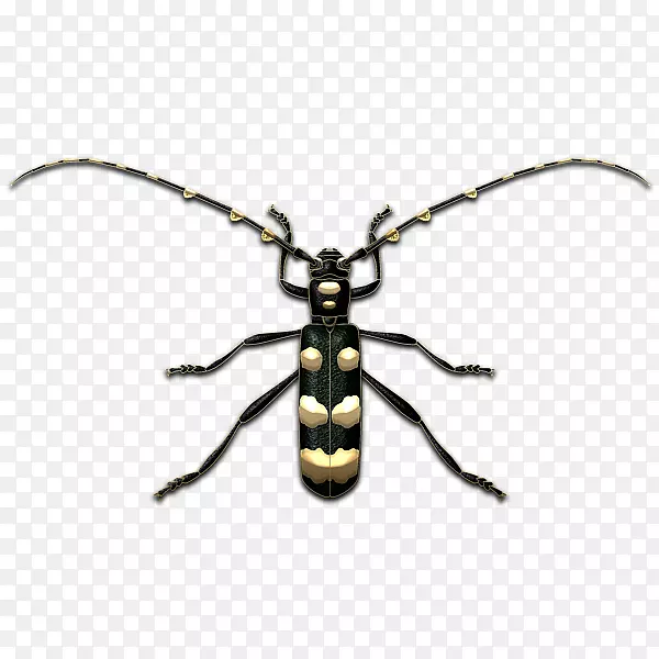 ���Ǽ׳棬��ף���������-���Ǽ׳�-������