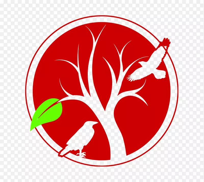 ����ֲ������߼�����-�߲�-������