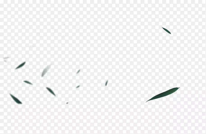 ����-��Ҷ-������