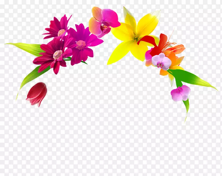 ��������л�����ֲ��.���-������