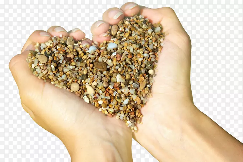 �����ֽ��������֮��-������