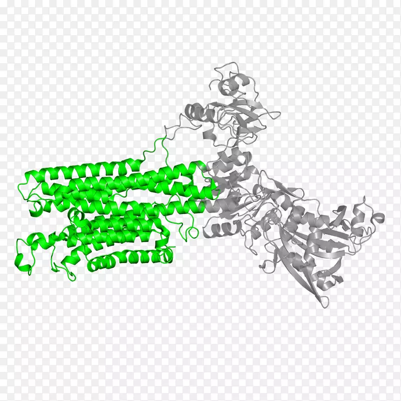 ���鱦����������-������