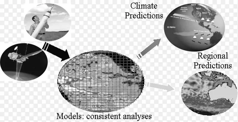 Ʒ�ư�ɫ�������-������