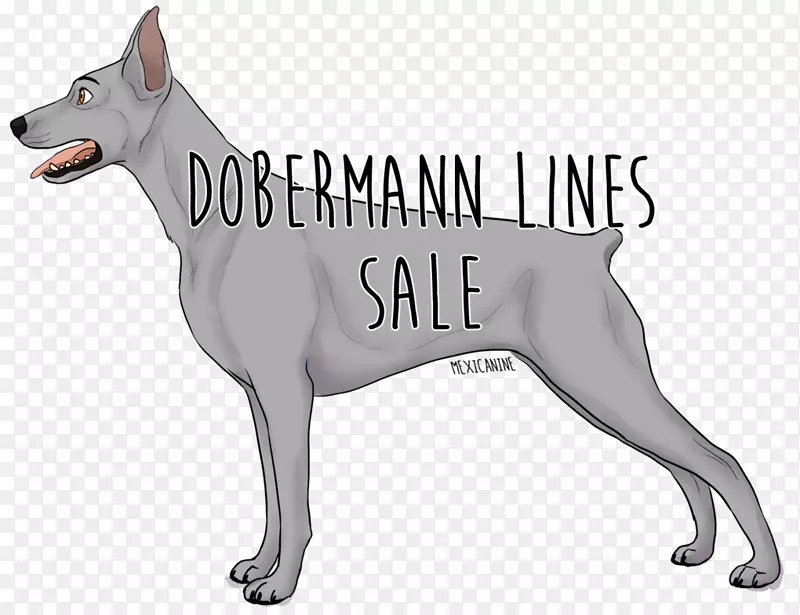 ����ֳ�������Ĺ�����-��-������