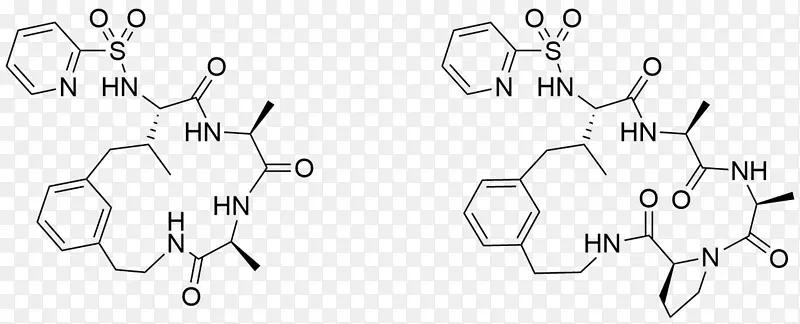 ��ɫ����������Ϊ��ָ����ϳ�-������