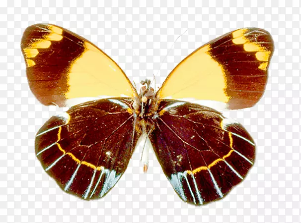 ë���׵ĺ�������-������