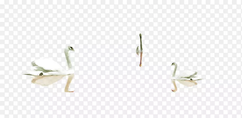 ���崩���鱦ͼ��-���-������