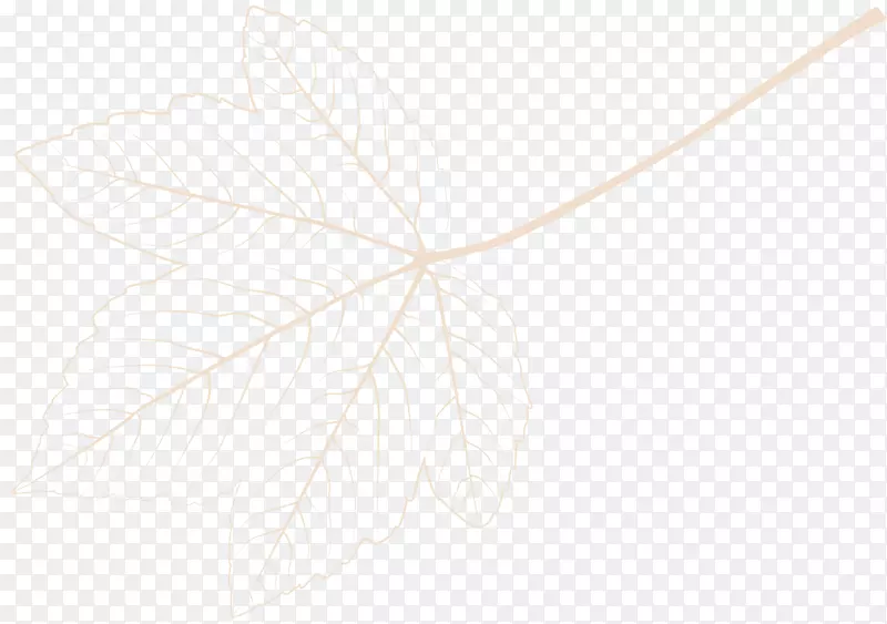 ���ƶԳ���/m/02csfͼ����-������