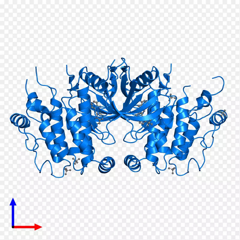 ��־�ߵ�������-������