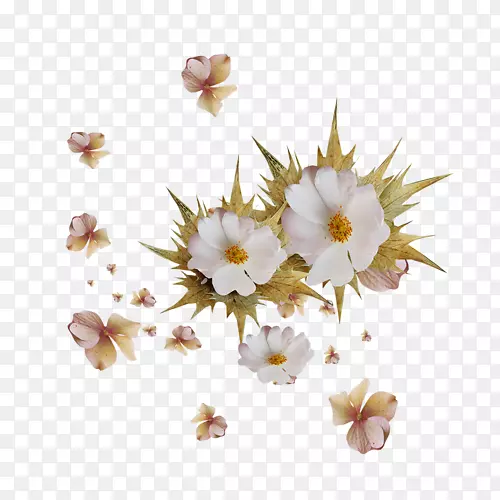 ����ֲ��-ֲ��-������