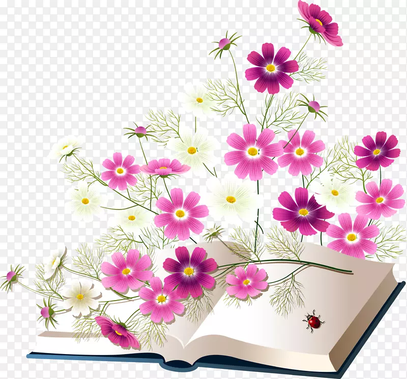 �����������-����-������