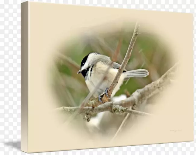 ��ȸ����ȸ�����桢�����-������