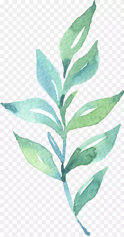 Ҷˮ�ʻ�.ˮ�ʻ�Ҷ-������